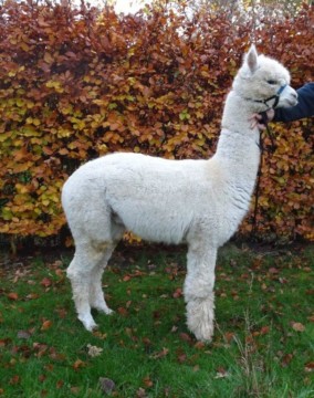 Hunter, zoon van Christhopher