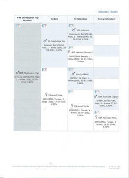 Stamboom Christhoper