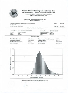 Wolanalyse Sasquatch